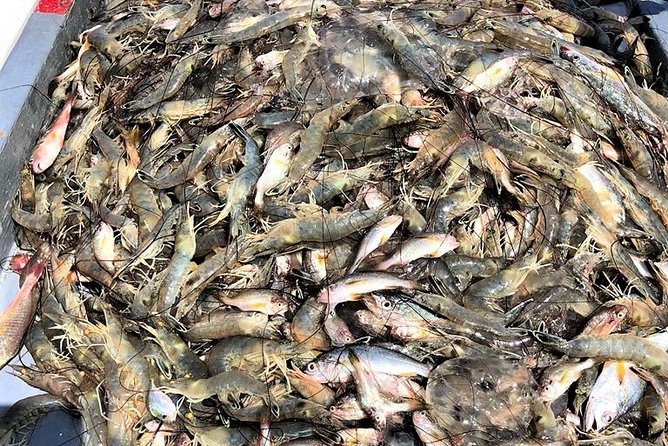 Hilton Head Shrimp Trawling Boat Cruise - Preparing for the Cruise