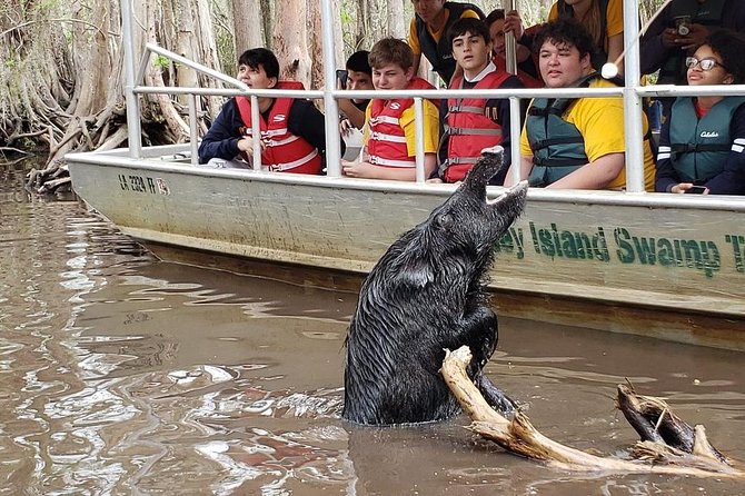 Honey Island Swamp Boat Tour - Traveler Reviews and Experiences