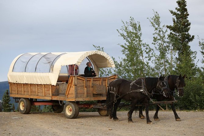 Horse-Drawn Covered Wagon Ride With Backcountry Dining - Dining Experience in the Backcountry