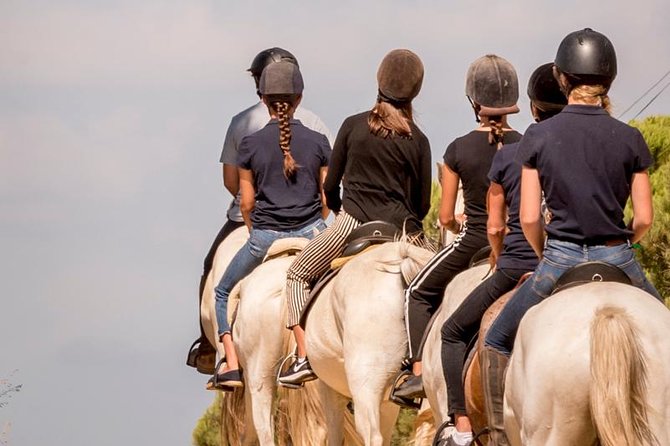 Horse Riding on the Beach - Accessibility for Everyone