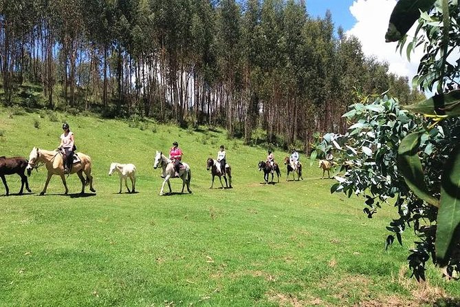 HORSEBACK RIDING MYSTIC TOUR (Temple of the Moon and Chacan Mountain) - Service Animals