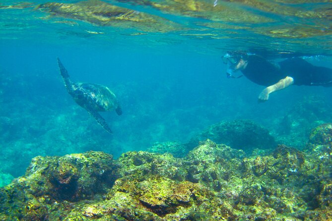 Imiloa Express Nā Pali Snorkel Tour - Accessibility and Physical Requirements