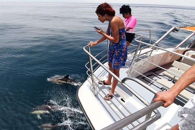 Incredible Dolphin Watching Experience on Our Family Friendly Catamaran - Lagos - Catamaran Features for Optimal Viewing