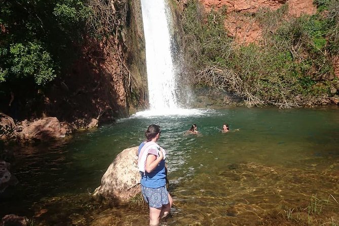 Jeep Safari Tour - Full Day - Customer Reviews and Experiences