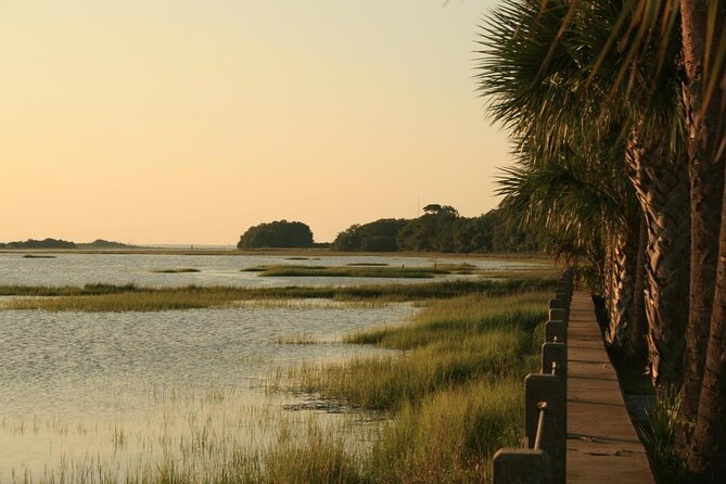 Jekyll Island Dolphin Tours - Scenic Views and Wildlife