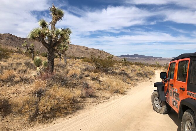 Joshua Tree National Park Offroad Tour - Sunset Splendor and Stargazing