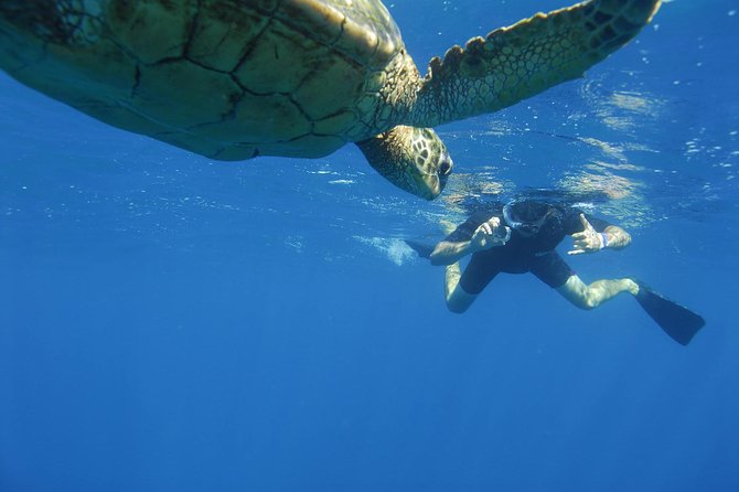 Kauais Ultimate South Island Zodiac Boat Snorkel Adventure - Participant Requirements and Restrictions
