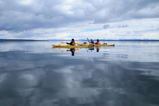 Kayak Day Paddle on Yellowstone Lake - Traveler Feedback and Recommendations