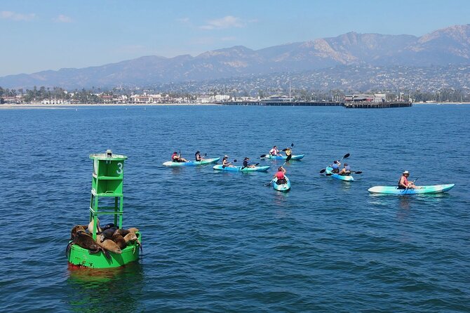 Kayak Tour of Santa Barbara With Experienced Guide - Customizable Tour Experience