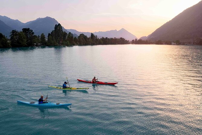 Kayak Tour of the Turquoise Lake Brienz - Embracing the Group Camaraderie