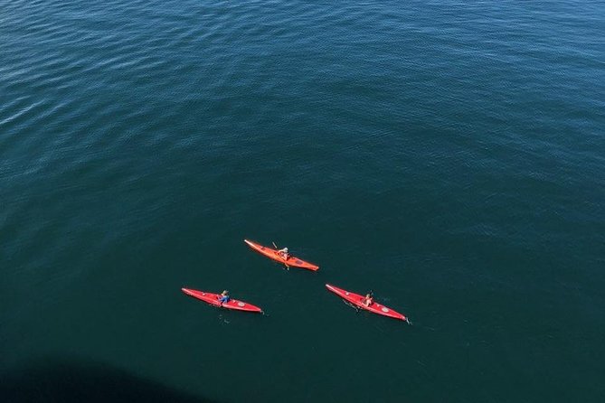 Kayak Tours - Exploring Alaskas Rugged Landscape