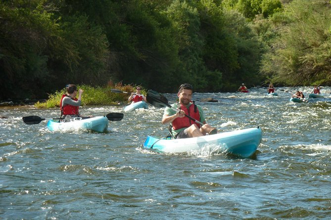 Kayaking the Salt River Foxtail Trip - Additional Tips and Recommendations