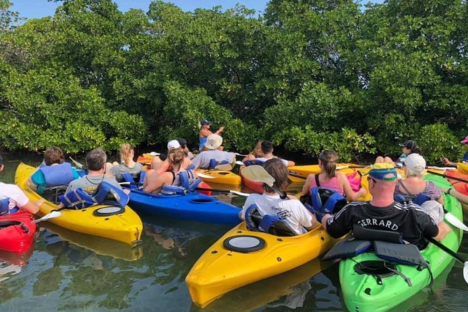 Key West Mangrove Kayak Eco Tour - Departure Times and Meeting Point