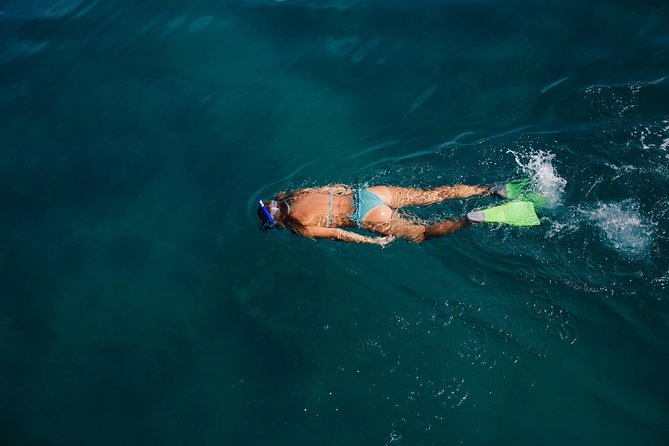 Key West Safari Eco Sandbar Tour Adventure With Snorkeling - Snorkeling at Mud Key Sandbar