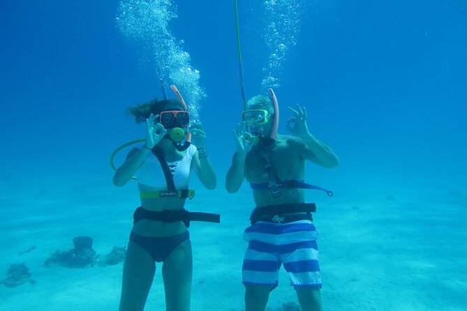Key West SNUBA Experience - Dive Site and Marine Life