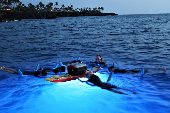 Kona Manta Rays Guaranteed Night Snorkel in Keauhou Harbor - Pricing and Cancellation Policy