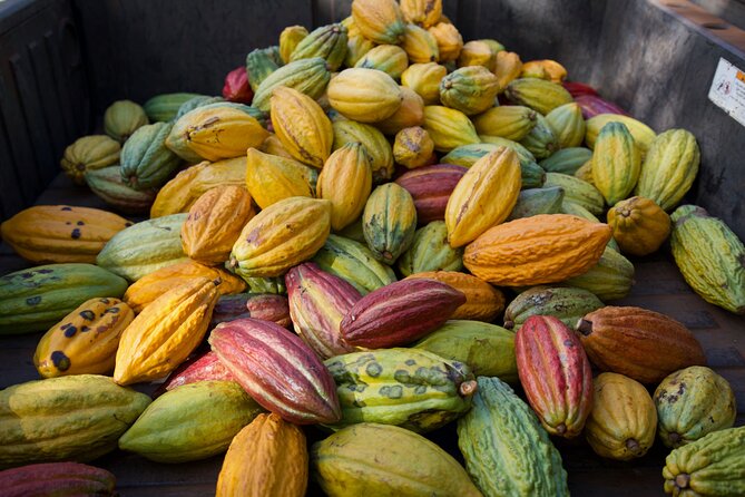 Lahaina: Maui Kuia Estate Guided Cacao Farm Tour and Tasting - Accessibility and Logistics