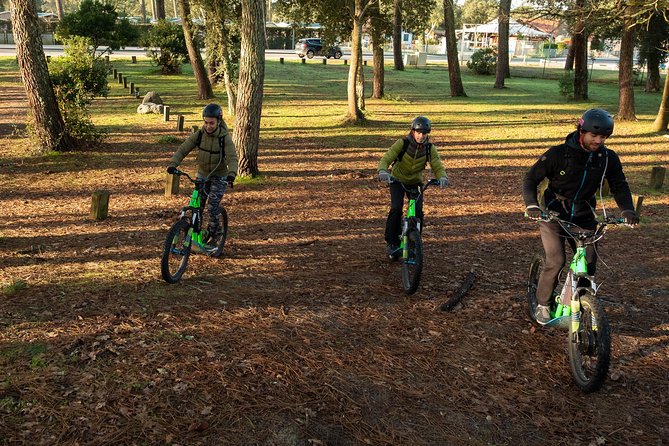 Leisure Ride on an Electric Scooter - Nearby Attractions and Transportation Options