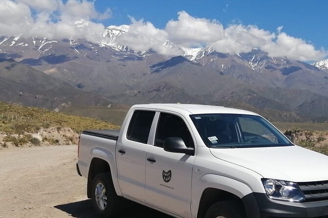 Malbec & Mountain Uco Valley Private Wine Tour With Gourmet Lunch - Positive Customer Feedback