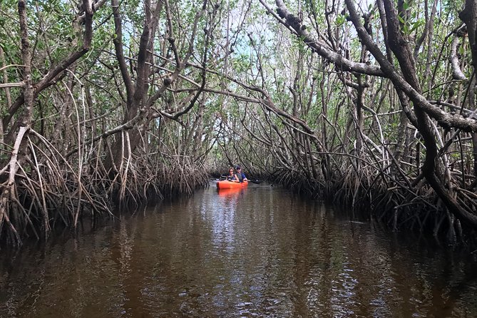 Manatees and Mangrove Tunnels Small Group Kayak Tour - Physical Requirements and Difficulty Levels