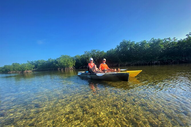 Mangrove Tunnel Kayak Adventure in Key Largo - Health and Safety Considerations
