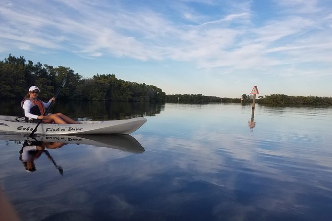 Mangrove Tunnels, Dolphins, Manatee Tour #1 Rated in Cocoa Beach - Customer Satisfaction and Experiences