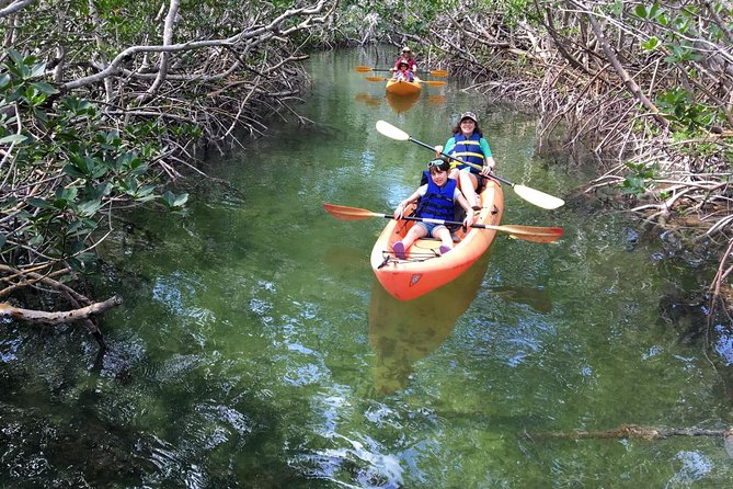 Mangroves and Manatees - Guided Kayak Eco Tour - Accessibility and Suitable Fitness Levels
