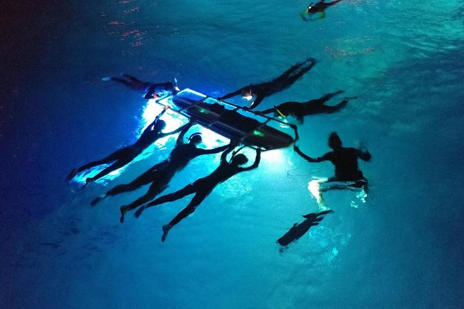 Manta Mania - Manta Ray Night Snorkel - Small-Group Experience In Kona, Hawaii - Customer Ratings and Feedback