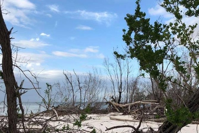 Marco Island 2 Hour Dolphin, Birding and Shelling Tour - Amenities and Inclusions