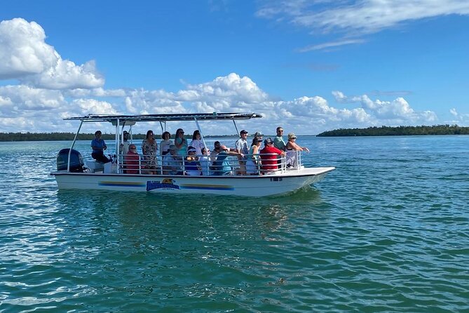 Marco Island Dolphin Sightseeing Tour - Native Birds and Wildlife