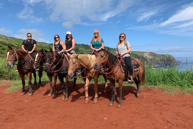 Maui Horseback Adventure at Circle M Ranch With Real Cowboys - Coastal Riding and Ocean Views