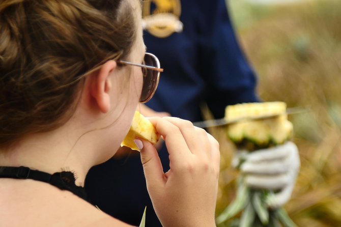 Maui Pineapple Farm Tour in Haliimaile - Guest Feedback and Ratings