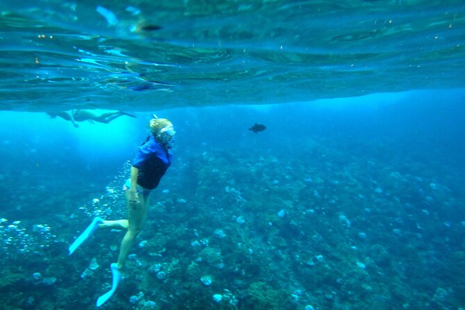 Maui Snorkel & Slide - Meeting and Check-in Details