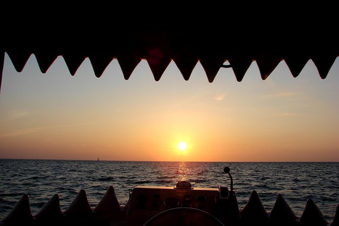 Mega Bite Dolphin Tour Boat in Clearwater Beach - Onboard Amenities and Comforts