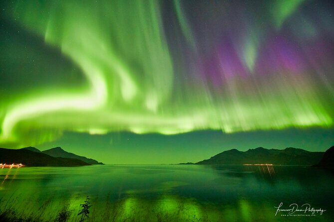 Minivan Northern Lights Excursion (8 Guests per Minivan) - Booking Advice