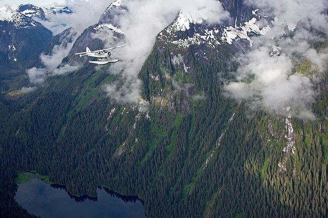 Misty Fjords Flight Tour - Aircraft and Pilot Information
