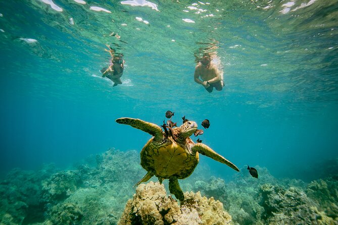 Molokini Crater and Turtle Town Snorkeling From Kihei - Health and Safety Considerations