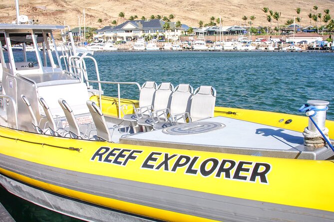 Molokini Crater Zodiac Adventure: Snorkel and Turtle Cove Swim - Meeting and Check-in Details