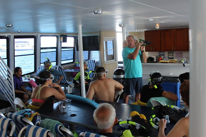 Molokini Snorkeling Adventure Aboard Calypso From Maalaea Harbor - Snorkeling Experience and Wildlife Sightings