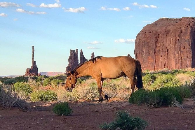 Monument Valley Daytime Tour - 3 Hours - Navajo Spirit Tours - Connecting With Navajo Heritage