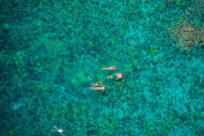 Morning Kealakekua Snorkel Tour - Negative Customer Feedback