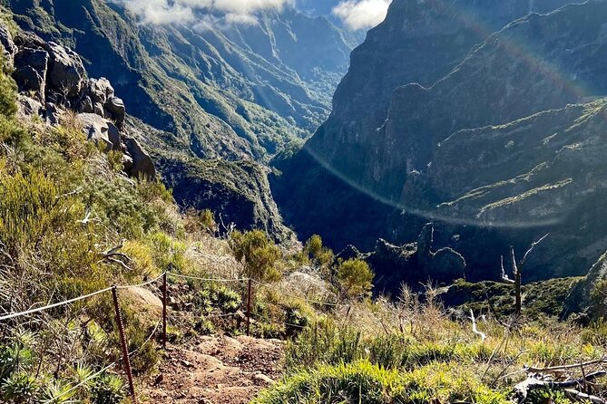 Morning Transfer To Pico Do Arieiro, Hike To Pico Ruivo & Return From Teixeira - Positive Customer Experiences