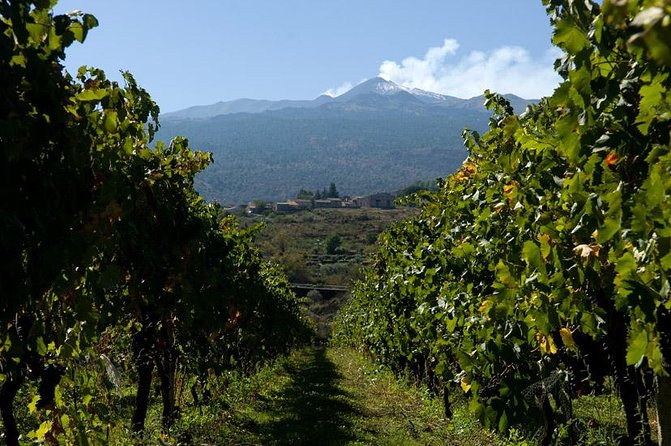Mt Etna and Wine Tasting Tour From Catania - Booking Information and Availability