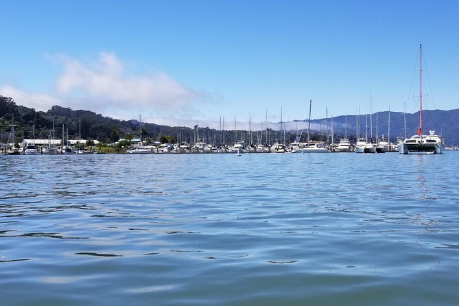 Muir Woods and Sausalito Morning Tour Small-Group Half Day - Getting to Muir Woods