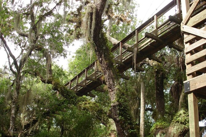 Myakka State Park E-bike Safari - Suitability for All Skill Levels