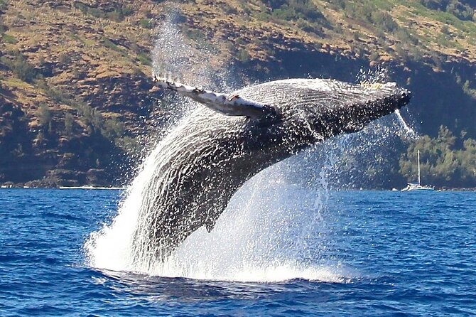 Nā Pali Coast Zodiac Raft Expedition and Snorkeling on Kauai - Preparing for the Adventure