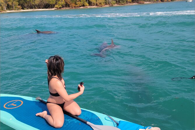 Nature & Island Exploration on SUP/Kayak - Refreshments and Breaks