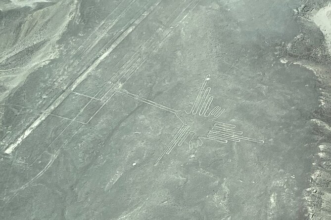 Nazca Lines + Cantalloc Aqueducts Tour - Highlights and Customer Experiences