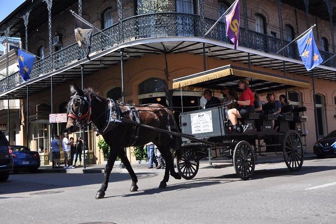 New Orleans French Quarter and More Carriage Ride - Accessibility and Additional Details