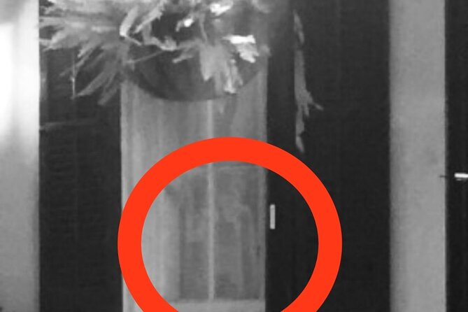 New Orleans Ghost Hunt Experience: Voices From Beyond - Guest Feedback and Ratings